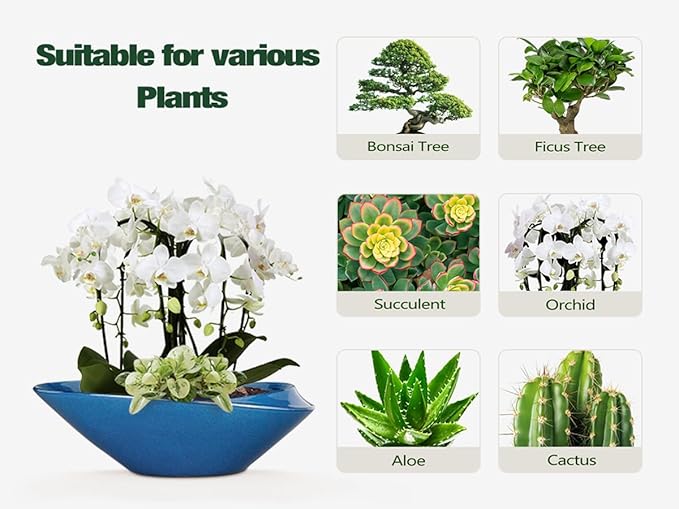 Blue Ceramic Bonsai Planter, 18 Inch Indoor Pot with Drainage Hole