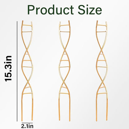 Indoor Plant Trellis for Potted Plants - Durable Metal Climbing Trellis with Unique DNA Spiral Design for Vining Plants, Easy Installation for Indoor & Outdoor Use