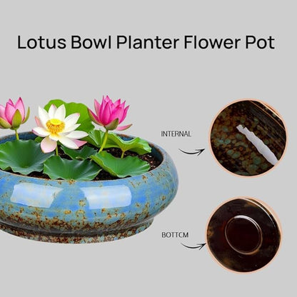 7.3 Inch Succulent Planters Pots Shallow Ceramic Glazed Planter Pots, Lotus Bowl Planter Round Shallow Planter Water Lily Pot for Indoor/Outdoor Plants Decorative (Blue)