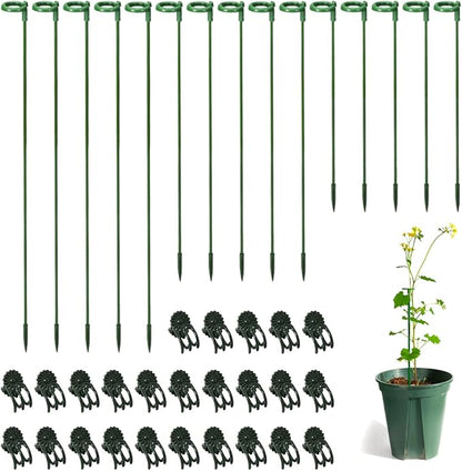 30 Pcs Plant Support Stakes with 30 Pcs Plant Clips Garden Floral Flower Support Single Stem Support Stake for Phalaenopsis Orchid Flower Roses Amaryllis
