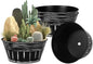vensovo 10 Inches Black Metal Rustic Plant Pots - 4 Pcs Large Shallow Galvanized Planters with Drain Hole and Rubber Plug, Rustproof Tin Bucket Succulent Pot Indoor Farmhouse Vintage Style for Decor