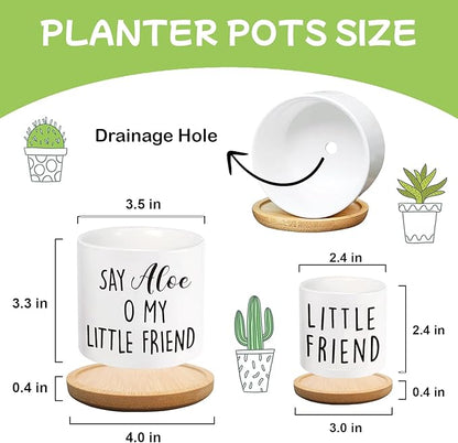 Say Aloe to My Little Friend Planter Pot, Funny Plant Pots, Aloe Plant Pot Succulent Pots with Tray Set of 2 Flower Pots Indoor Pot - Without Plants, Office Home Windowsill Gifts (No Plant)