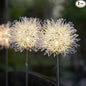 GUOCHENG Dandelion Solar Garden Lights Waterproof Outdoor LED Landscape Lights, Solar Flower Lights for Courtyard Pathway Flowerbed Patio Lawn Décor(2Pcs)