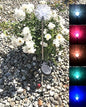 Solar Garden Stake Lights with Color Changing LED or Regular White LED Landscape Path Lights (Set of 2) (Hydrangea Flower)