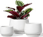 LE TAUCI Ceramic Plant Pots, 4.1+5.1+6.5 inch, Set of 3, Planters with Drainage Hole and Saucer, Indoor Flower Pot with Hole Mesh Pad, Gifts for Mom, White
