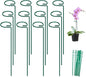 FEED GARDEN 16 Inch 12 Pack Plant Support Stakes, Metal Garden Flower Stakes and Supports for Outdoor Plants, Plant Stem Support with 24 Twist Ties for Amaryllis Lily Rose Peony Tomatoes Gladiolus