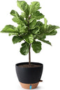 T4U 12 Inch Self Watering Pot - Water Level Indicator & Deep Reservoir, Mess-Free Planter for Busy People, Beginners & Gardeners, Fit Rubber Tree/Fiddle Leaf Fig Plants, Indoor Outdoor Use (Black)