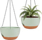 Hanging Planters for Outdoor Indoor Plants, 2 Pack 10 Inch Hanging Basket Plants Outdoor, Self Watering Hanging Planter with Plant Hanger for Garden Home Decoration (Green, 10 inch)