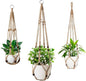 3 Pack Macrame Plant Hanger,Hanging Plant Holder, Boho Home Decor Hanging Basket with Wood Beads,Hanging Planters for Indoor Plants,Plant Hanger Indoor 35"/29"/23" Brown (POTS NOT Included)