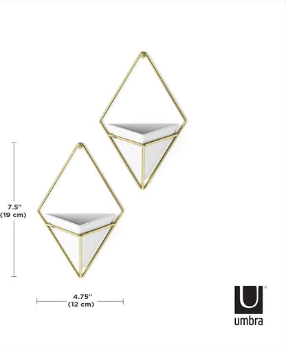 Umbra Trigg Hanging Planter Vase Wall Decor, Set of 2 Pots Containers for Succulents, Cactus, Faux Plants, and More, Small, White/Brass