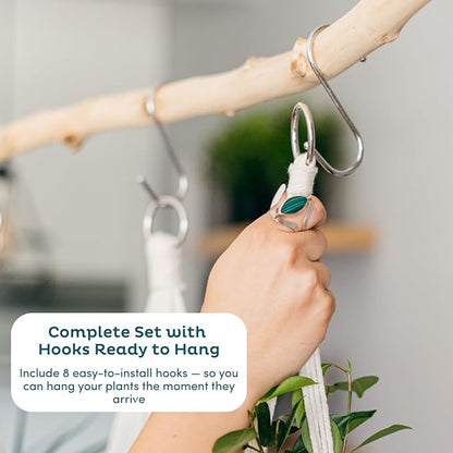 Nook Theory 4-Pack Macrame Plant Hangers with 8 Hooks - Hanging Planters for Indoor Plants, Boho Macrame Hangers Indoor Outdoor, Decorative Plant Hanger Indoor (Cream)
