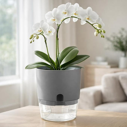 Planterhoma 5 Pack Self Watering Pots for Indoor Plants, 9 Inch Plant Pot Plastic Self Watering Planter for Orchid, Monstera, Lily, Large Clear Flower Pots with Drainage Holes and Wicking Rope, Gray