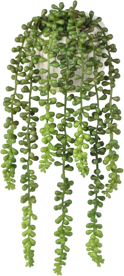 Artificial Plants Greenery, String of Pearls, Green Plastic, 15 Inch