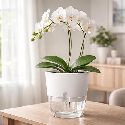 Planterhoma 5 Pack Self Watering Pots for Indoor Plants, 9 Inch Plant Pot Plastic Self Watering Planter for Orchid, Monstera, Lily, Large Clear Flower Pots with Drainage Holes and Wicking Rope, White
