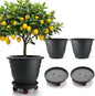 3-Pack Jumbo 15.7 Inch Planters with Rolling Saucers & Drainage – Large Flower Pots for Indoor/Outdoor, Heavy-Duty Moving Trays, Fits Tall Plants (Set of 3, Black)