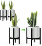 MUDEELA Plant Stand for Indoor Plants: Adjustable Width Fits 8-12 Inch Pots - Mid-century Modern Bamboo Plant Stand - 14.5 Inch Single Tier Small Floor Plant Holder, Black, 2 Pack (Without Pot)