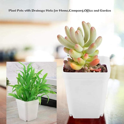 24 Pack 3 Inch White Square Plastic Plant Pots with Saucers,Nursery Seedling Pots with Drainage Hole,Small Planter Containers for Succulents,Flowers,Indoor Outdoor Garden,Home Office Balcony Decor