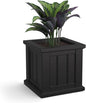 Mayne Cape Cod 14-Inch Square Planter – Self-Watering, Weather-Resistant Planter for Flowers – Durable Outdoor Design for Patio, Porch, or Entryway