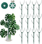 12 Pack Stackable Monstera Plant Support Stakes, 90inch Climbing Plant Sticks Structures with Garden Ties, Durable Alternative to Moss Pole for Indoor Outdoor Plants