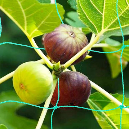 Pack of 2 Cucumber Tomato Trellis Netting, Heavy Duty Garden Netting for Climbing Plants Support, Pea, Grape, Bean, Fruit, Vegetables - 4" Mesh Size, 6Ft x 6Ft