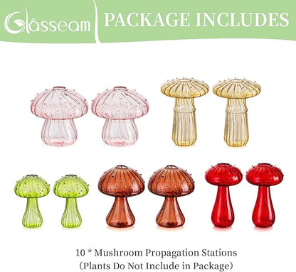 Planter Vase, Borosilicate Glass Mushroom Terrarium, Assorted Colors