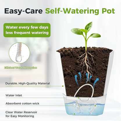 6 Pack Self Watering Pots for Indoor Plants, 5 Inches Self Watering Planters Small African Violet Self Watering Clear Pots for Plants Herb Orchid Flower Houseplant Pots, White