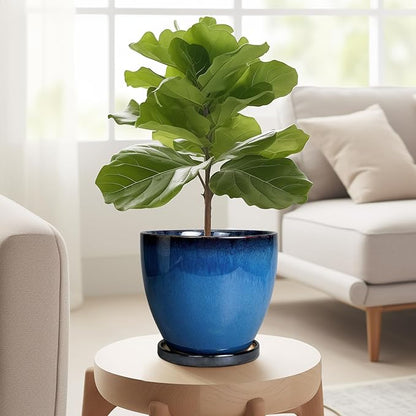 Ceramic Planters for Indoor Plants - 6.3 Inch Plant Pot with Drainage Hole and Saucer Round Modern Planter Home Garden Patio Decor Blue