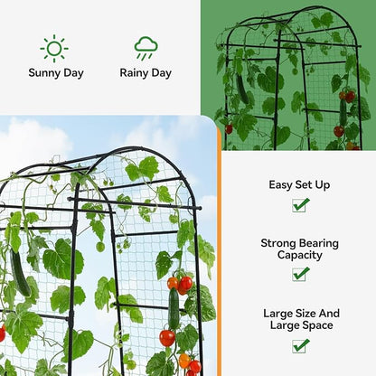 Lalahoni Garden Arch Trellis for Climbing Plants Outdoor, 80 Inch Tall Grape Metal Vine Plants Support Flower Vegetable Tomato, Cucumber Trellis for Raised Bed, Black