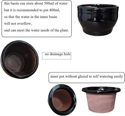 African Violet Pots Self Watering Round Ceramic Violet Pot (Black, 6 inch)