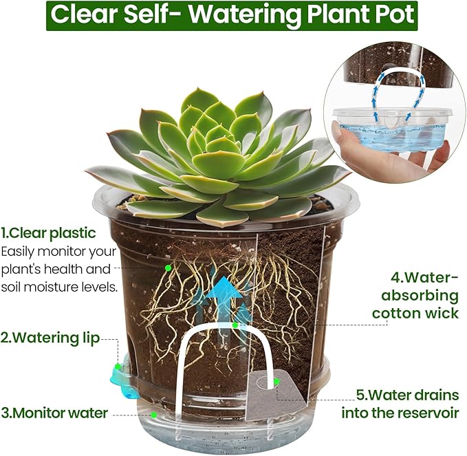 12 Pack 6.5 Inch Clear Self Watering Plant Pots with Bottom Water Tray & Watering Rope, Transparent Nursery Pots with Drainage for Seedlings, Herbs, and Houseplants