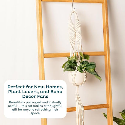 Nook Theory 6-Pack Macrame Plant Hangers with 12 Hooks - Hanging Planters for Indoor Plants, Boho Macrame Hangers Indoor Outdoor, Decorative Plant Hanger Indoor (Caramel)