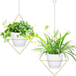 Hanging Planters for Indoor Plants, 2 Set Self Watering Hanging Flower Pots, Modern Hanging Plant Baskets with Metal Plant Holder & 6.5 Inch Plastic Pots for Garden Home Decor (Gold Frame White Pot)