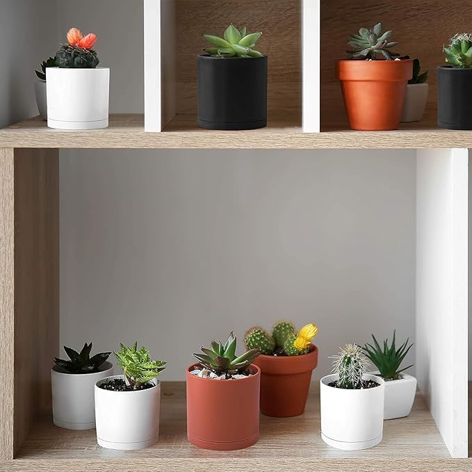 Planters 18-Pack Matte White Plastic Mini Pots with Saucers, 2.5 Inch