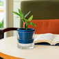 Design Self Watering Planter for Indoor Plants, 4 Inch