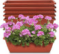 Window Box Planter, 6 Packs 17 Inches Rectangle Planters Box with Drainage Holes and Trays, Vegetable Planters for Windowsill Patio Garden Home Decor Porch Yard Red
