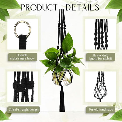 6 Pcs Plastic Plant Propagation with Boho Macrame Hanger Wall Plant Propagation Station Hanging Holder Include Hooks Kit for Indoor Home Garden Office Decor 3 Size (Black)