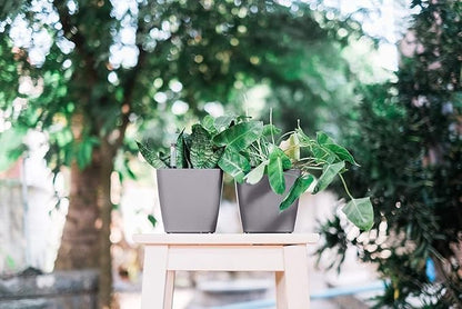 GARDENIX DECOR 5" Self Watering pots for Indoor Plants - Flower Pot with Water Level Indicator for Plants, Grow Tracking Tool - Self Watering Planter Plant Pot – 2 Pack Gray