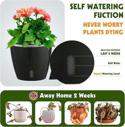 Self-Watering Pots for Indoor Plants, 6-Pack 6.7'' Self Watering Planter with Drainage Holes, Small African Violet Pots with Water Indicator, Clear Wick Pot, Black