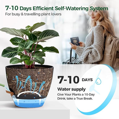 T4U 2 Pack 8 Inch Self Watering Pots - Water Level Indicator & Deep Reservoir, Mess-Free Planter for Busy People, Beginners & Gardeners, Pothos/Herbs/Snake Plants, Indoor Outdoor Use (Black)