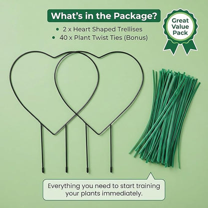 2 Pcs Heart Shaped Plant Trellis Indoor with 100 Plant Twist Tie Pothos Plants Climber Support Heart-Shaped Trellis Iron Heart Trelli Black Durable Houseplant Hearts Trelli for Potted Vines and Flower
