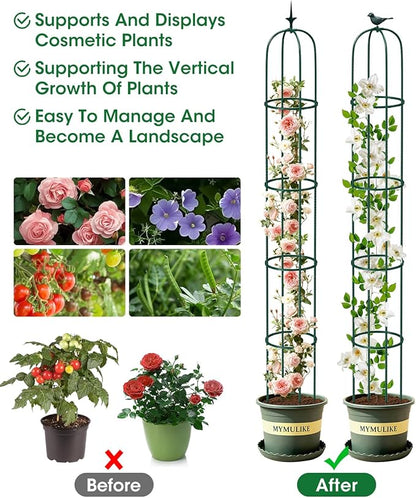 2PCS Garden Trellis for Climbing Plants, 6.2FT Rustproof Metal Pipe with Heavy Duty Plastic Coated, Garden Outdoor Indoor Potted Plant Support, Obelisk Garden Trellis for Climbing Vine (Green)