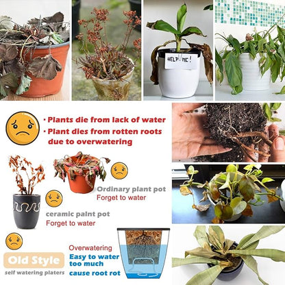 5 Pack Self Watering Plant Pots 5/6.7/8.4 In Self Watering Planters for indoor and Outdoor plants African Violet Self Watering Pots Clear Pots for Plants Herb Orchid Flower Houseplant Pots, Light Grey
