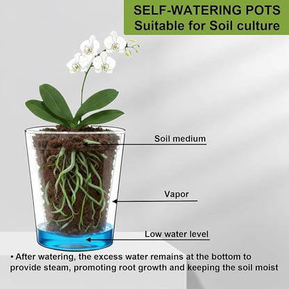 3 Pack of 6in Plastic Cachepot with 6 inch Clear nusery Pot - self Watering Indoor Planter with Drainage for Root Visibility,semi Hydro pots for repotting Orchids,Aroid or Monstera,Black