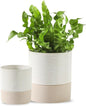 Nihow Self Watering Plant Pot for Indoor Plants: 4.5+6 Inch Ceramic Planter with Drainage Hole & Water Storage Plus - Cylinder Flower Pot with Wick for Herbs -White & Brown