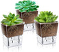 Self Watering Pots Set, 3 Pack 2.7 Inch Pots for Indoor Plants, Clear Nursery Planter with Deep Reservoir for Succulents, Seedlings, Small Plants