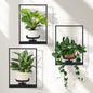 Wall Planters for Indoor Plants, Window Plant Shelves Set of 3, Wall Plant Stand to Hold Large Pots - Premium Metal Hanging Plant Holder for Indoor Outdoor Decor