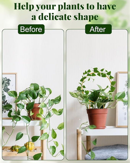 Unique Round Hoya Trellis, 3 Pcs Different Small Houseplant Trellis for Indoor Climbing Plant, Garden Trellis Plant Support for Potted Ivy and Flowers Outdoor(Gold)
