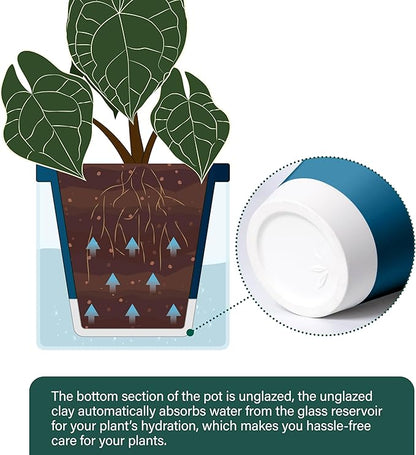 D'vine Dev 6 Inch Design Self Watering Planter for Indoor Plants, Blue Terracotta Pot with Cylinder Glass Cup, 37-X-B-4
