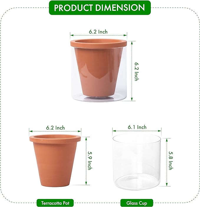 D'vine Dev 6 Inch Design Self Watering Pot for Indoor Plants, Terracotta Planter with Cylinder Glass Cup, 37-X-B-1