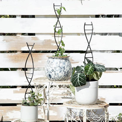 DNA Spiral Plant Trellis Indoor - Durable Metal Trellis for Potted Plants, Perfect for Small Houseplant Pots, Ideal for Ivy and Pothos, Space-Saving Vertical Support for Climbing Growth